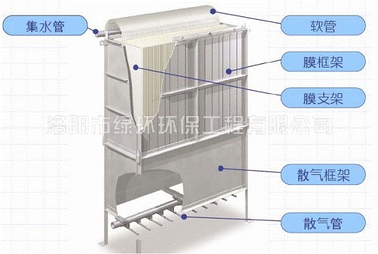 1557392335925885.jpg 1CCB4E5D214FB53A7152EDB55BD59001.jpg